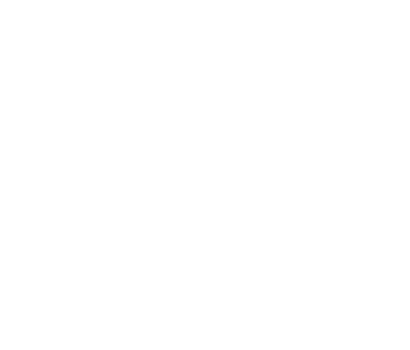 Steer head icon