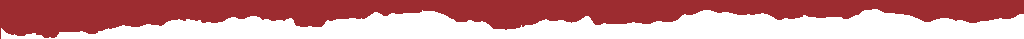 Red torn paper edge at the top of the reviews section